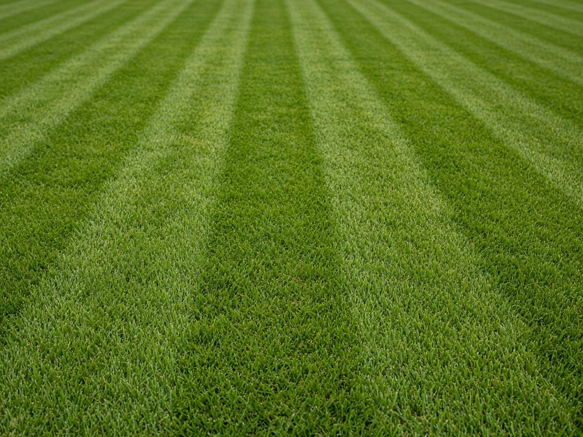 Fresh mowing stripes on a green lawn, with no house in frame.
