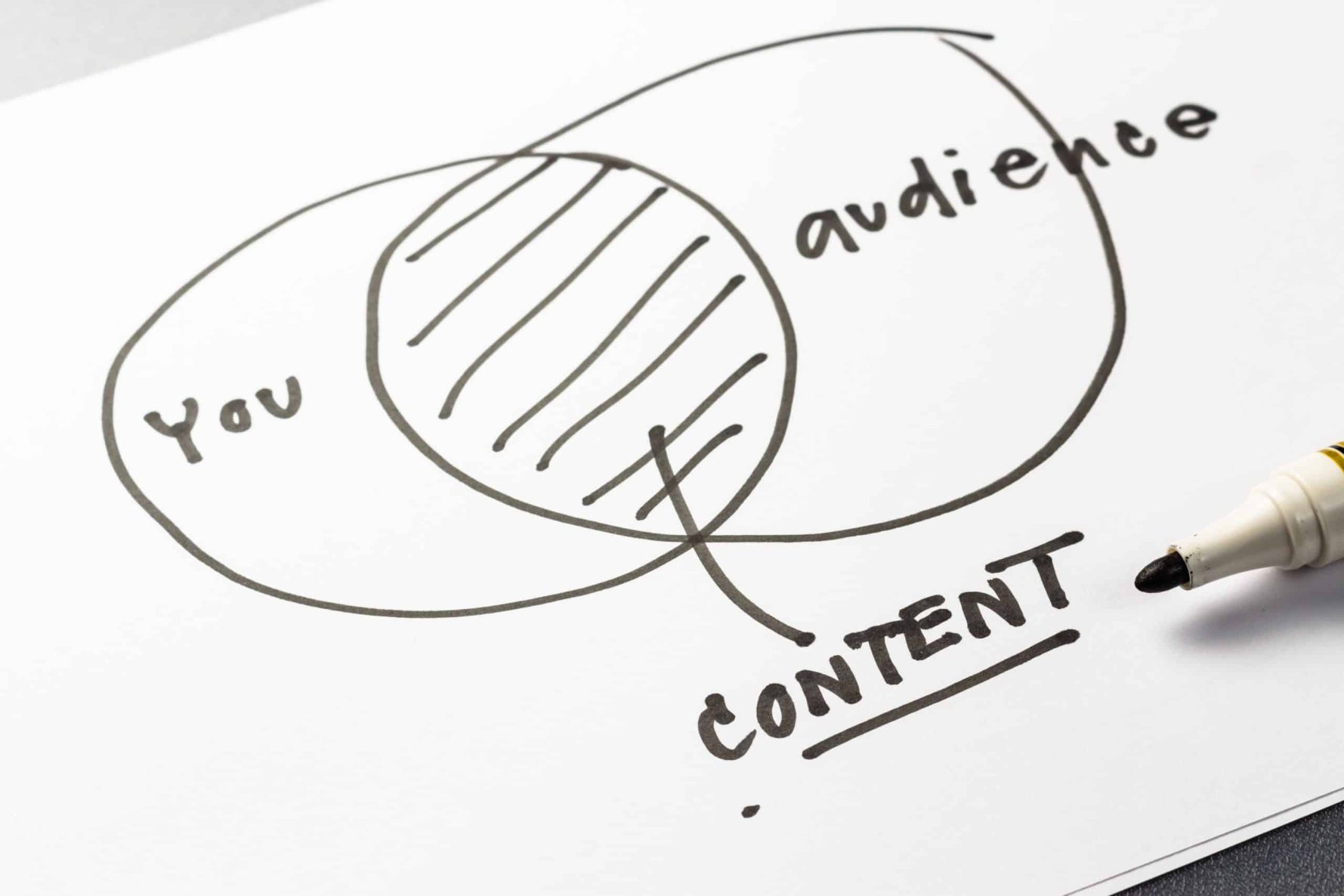 Hand-drawn Venn diagram showing the intersection of "You" and "Audience" with the overlapping area labeled as "Content".